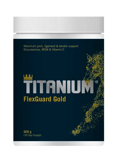 Vetnova Titanium FlexGuard Gold – Soporte Articular Premium para Caballos
