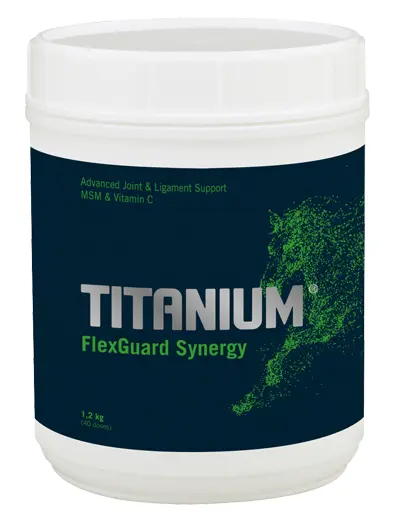 Vetnova Titanium FlexGuard Synergy 600 g – Soporte Articular para Caballos