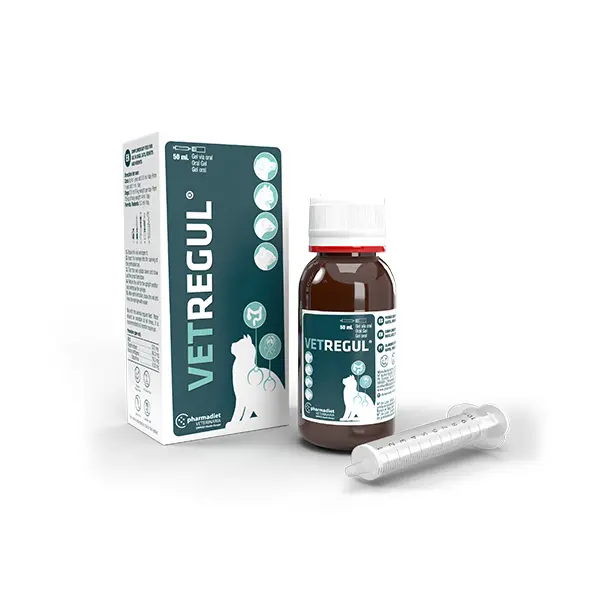 VetRegul – Regulador Intestinal para Perros y Gatos