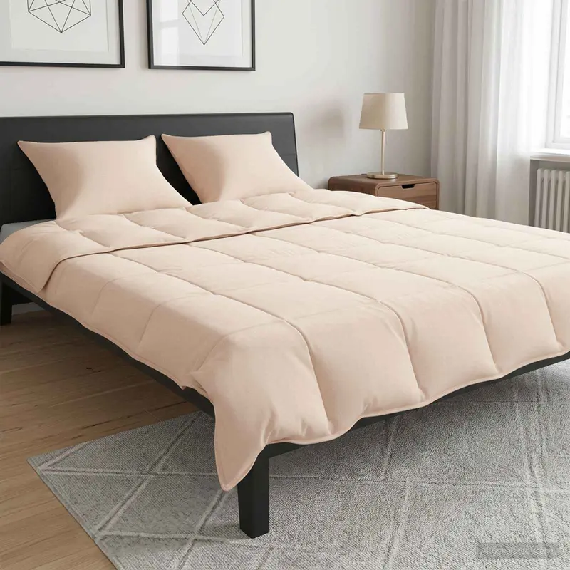 Vidaxl dekbedset 2 st 240 x 220 cm 250 gsm natuurlijke kapok beige