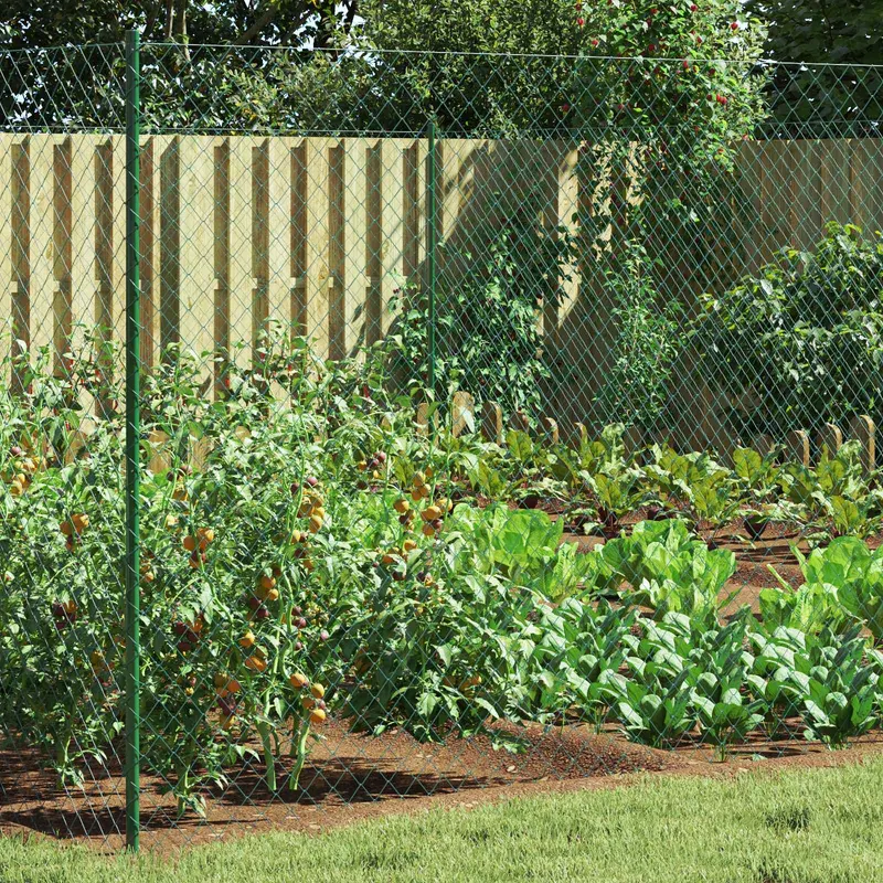 Vidaxl draadgaashek 2 x 10 m staal groen