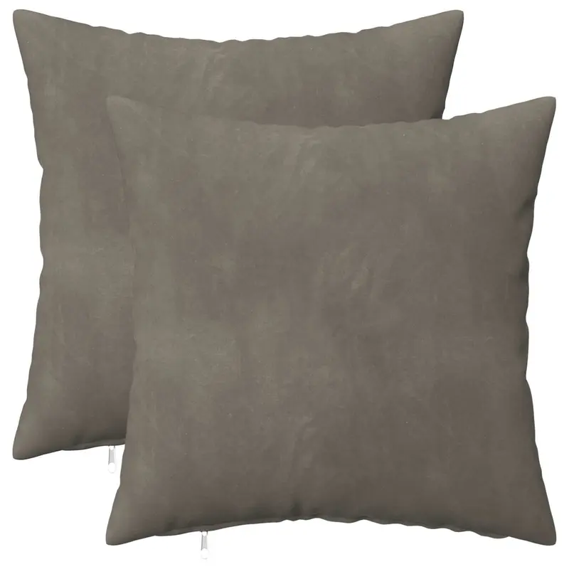 Vidaxl kussensloop 2 pcs heerlen lichtgrijs 35 x 35 cm fluweel