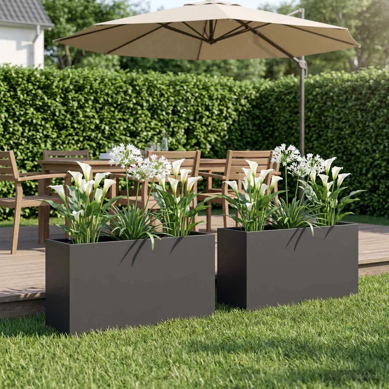 Vidaxl plantenbak 2 st zwart 100 x 30 x 50 cm koudgewalst staal
