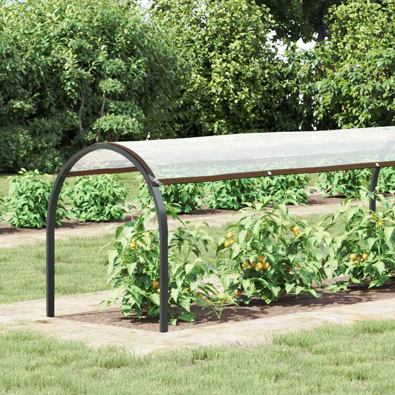 Vidaxl plantenhoes doorzichtig 2,5 x 1,5 m pe