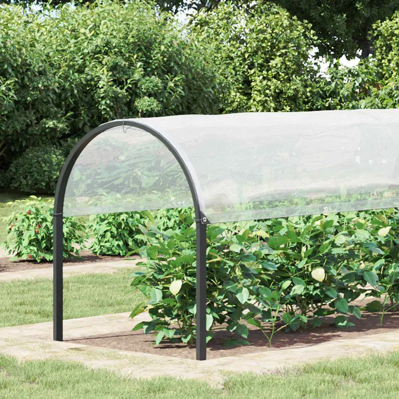 Vidaxl plantenhoes transparant 2 x 12 m pe