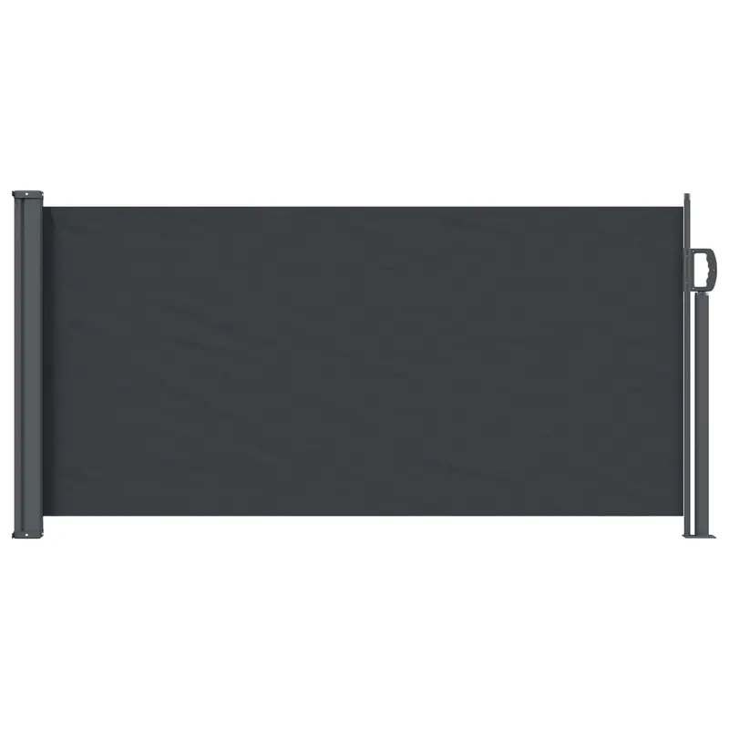 Vidaxl uittrekbaar zijscherm 300 x 100 cm polyester rechthoekig zwart