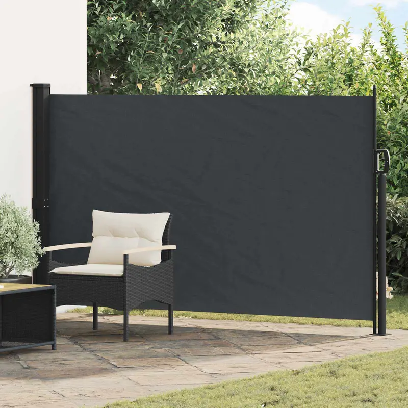 Vidaxl uittrekbaar zijscherm 300 x 170 cm polyester rechthoekig zwart