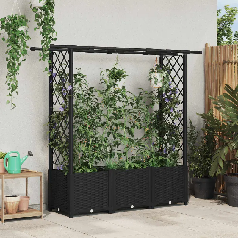 Vidaxl verhoogd bed met trellis en dak zwart 162,5 x 40 x 136 cm pp