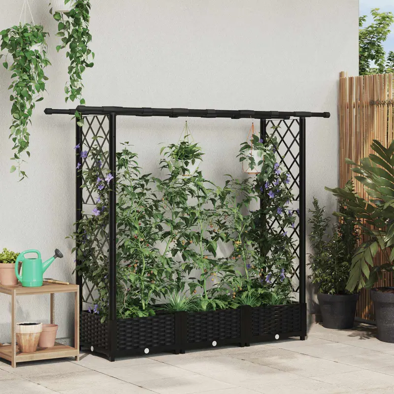 Vidaxl verhoogd bed met trellis en dak zwart 164 x 40 x 121 cm pp