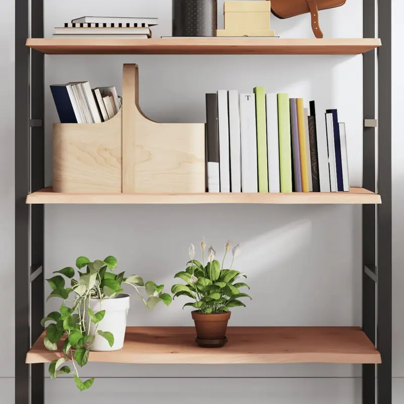 Vidaxl wandschap 80x50x2 cm onbehandeld massief eikenhout