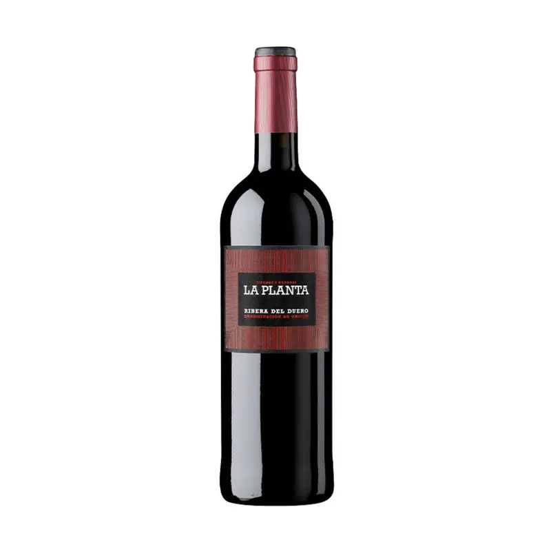 VINO TINTO ARZUAGA LA PLANTA R.D