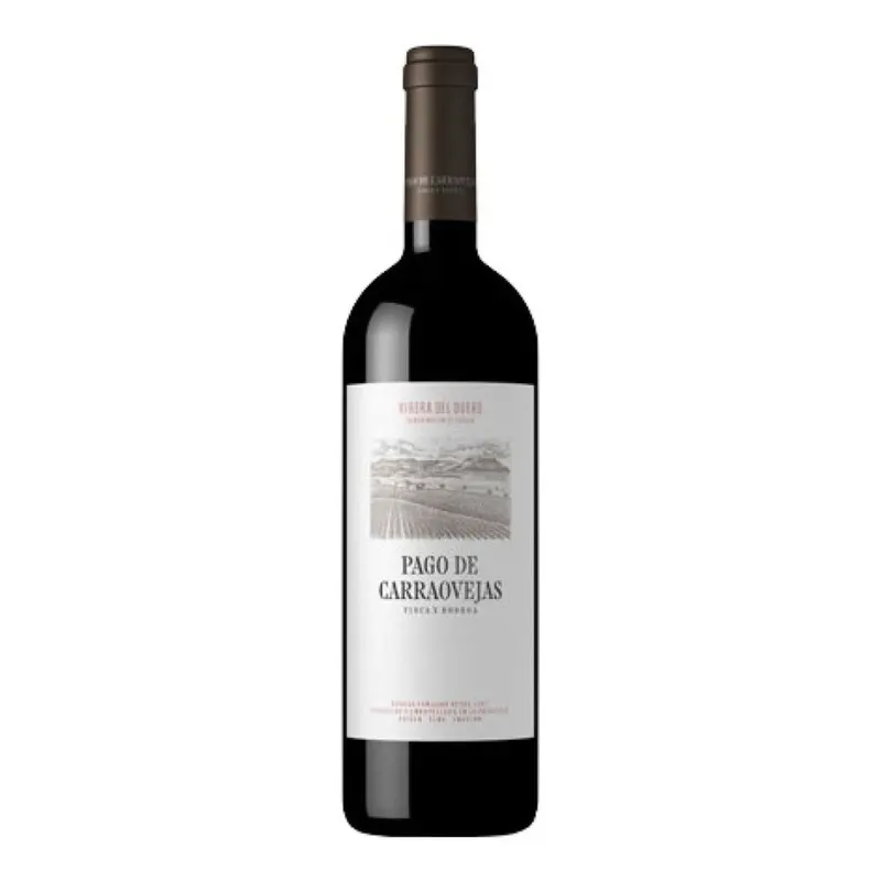 VINO TINTO PAGO DE CARRAOVEJAS 2022 0.75 L