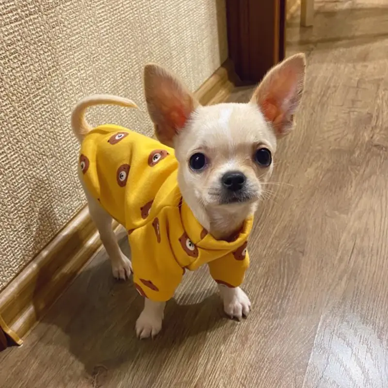 Winter Warm Dog Clothes – Cute Hoodies for Small Dogs & Cats