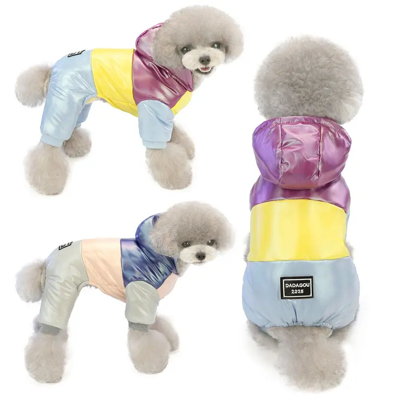 Winter Warmth Pet Fashion
