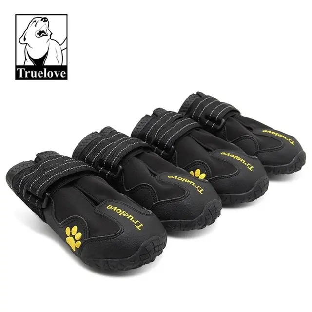 Zapatos impermeables para perro.